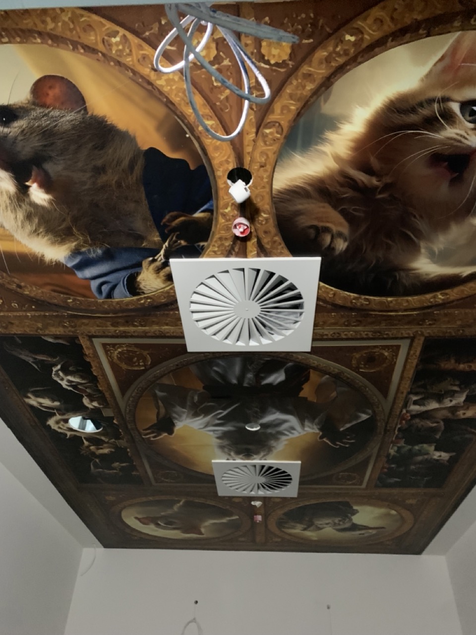 Ceiling Graphics Perth